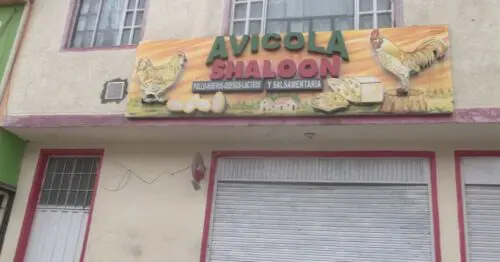 AVICOLA SHALOON AVICOLA SHALOON